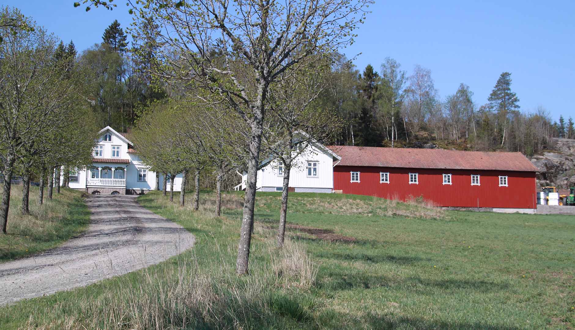 Stora Bränna gård där David Ivarsson bedriver verksamhet med stöttning av Business Region Göteborg